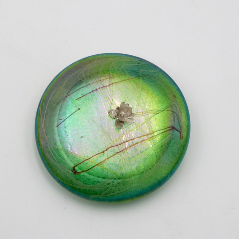 Floating Lily Disc