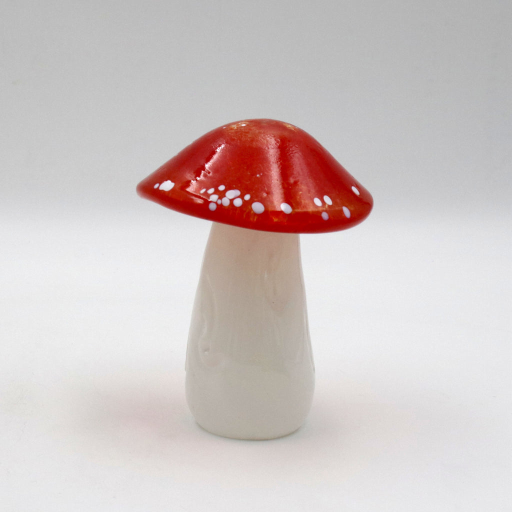 Red and White Capped Toadstool