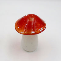 Red and White Capped Toadstool