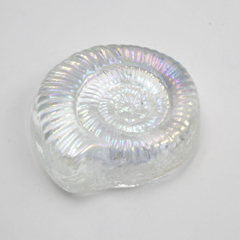 Glass Ammonite