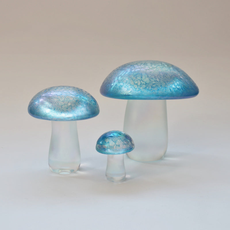 Mushrooms in Aquamarine