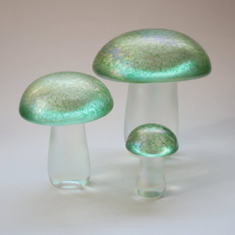 Mushrooms in Green