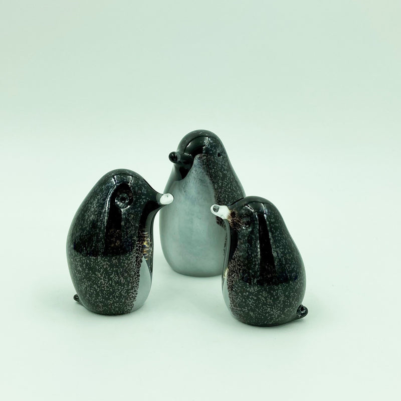 Glass Penguins